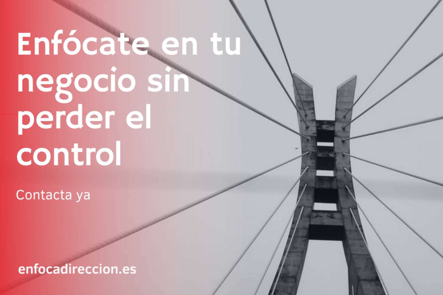 Los tipos de financiación para empresas en la actualidad, por Enfoca Dirección