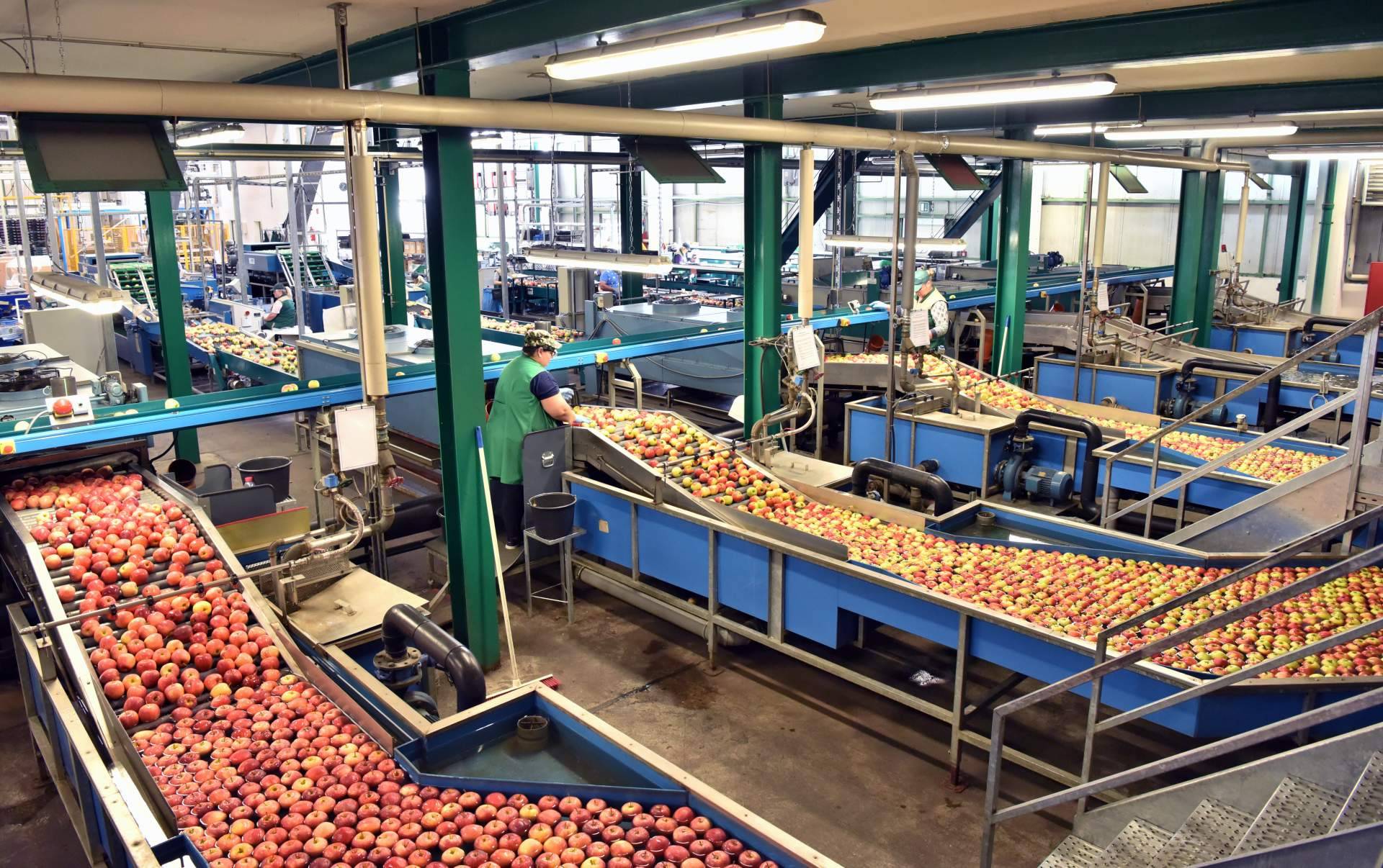 La limpieza y desinfección de las instalaciones en las empresas alimentarias es un aspecto importante