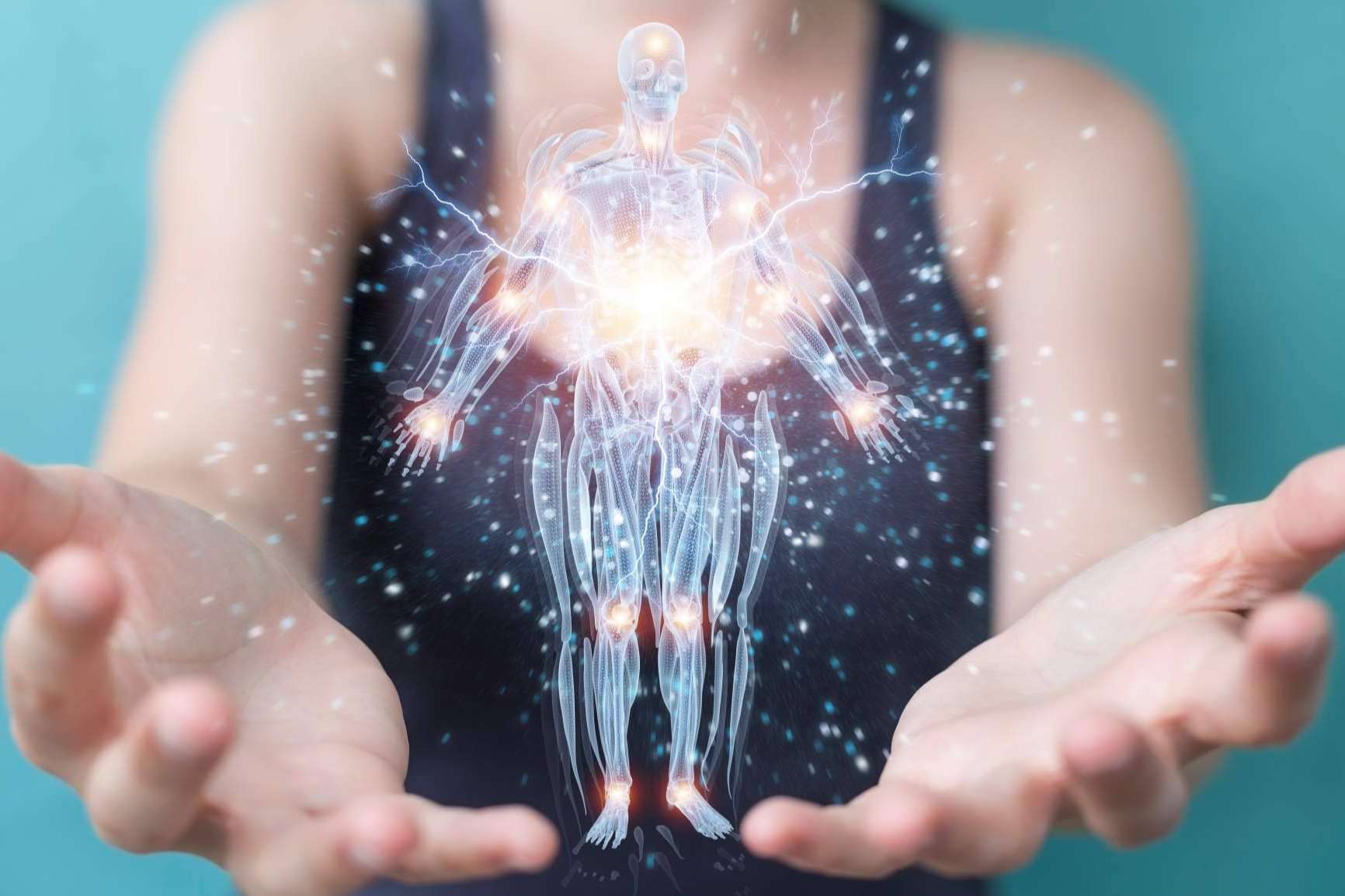 La relevancia de conocer todas las partes del cuerpo humano gracias a atlasdeanatomía.com