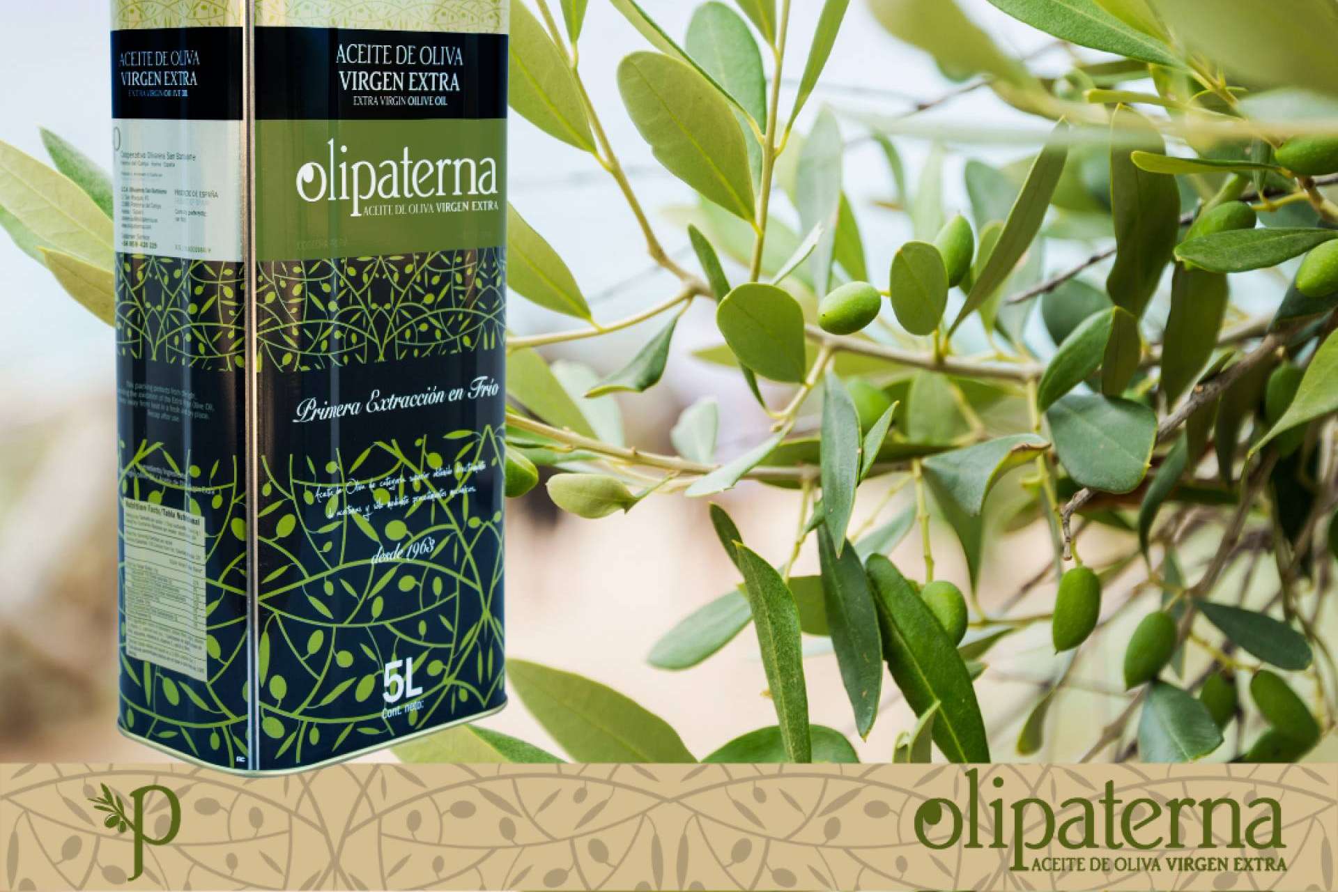 ¿Dónde encontrar aceite de oliva virgen extra? Olipaterna