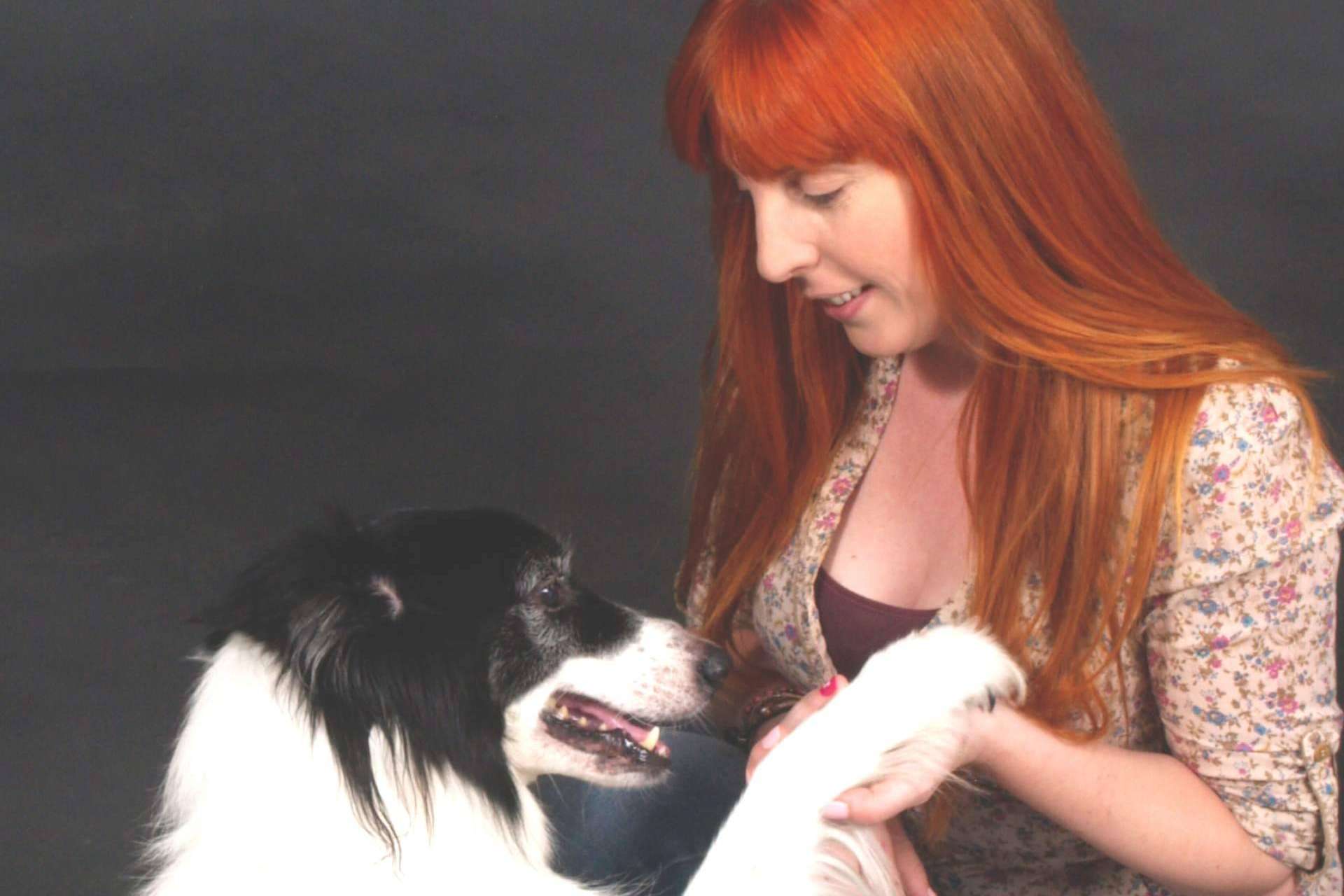 La educación canina no es lo que la gente piensa que es