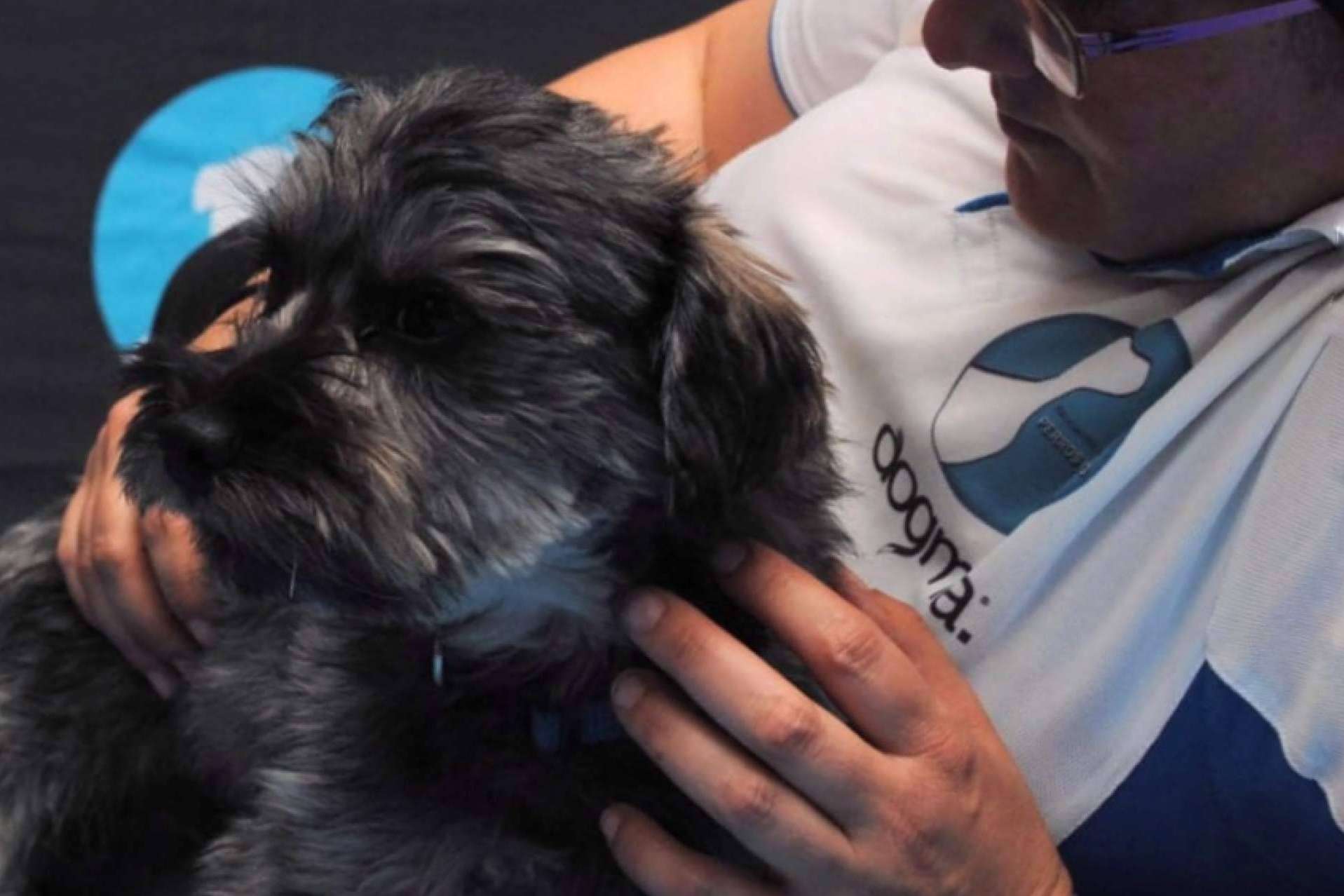 Perros de apoyo emocional, con AEPA