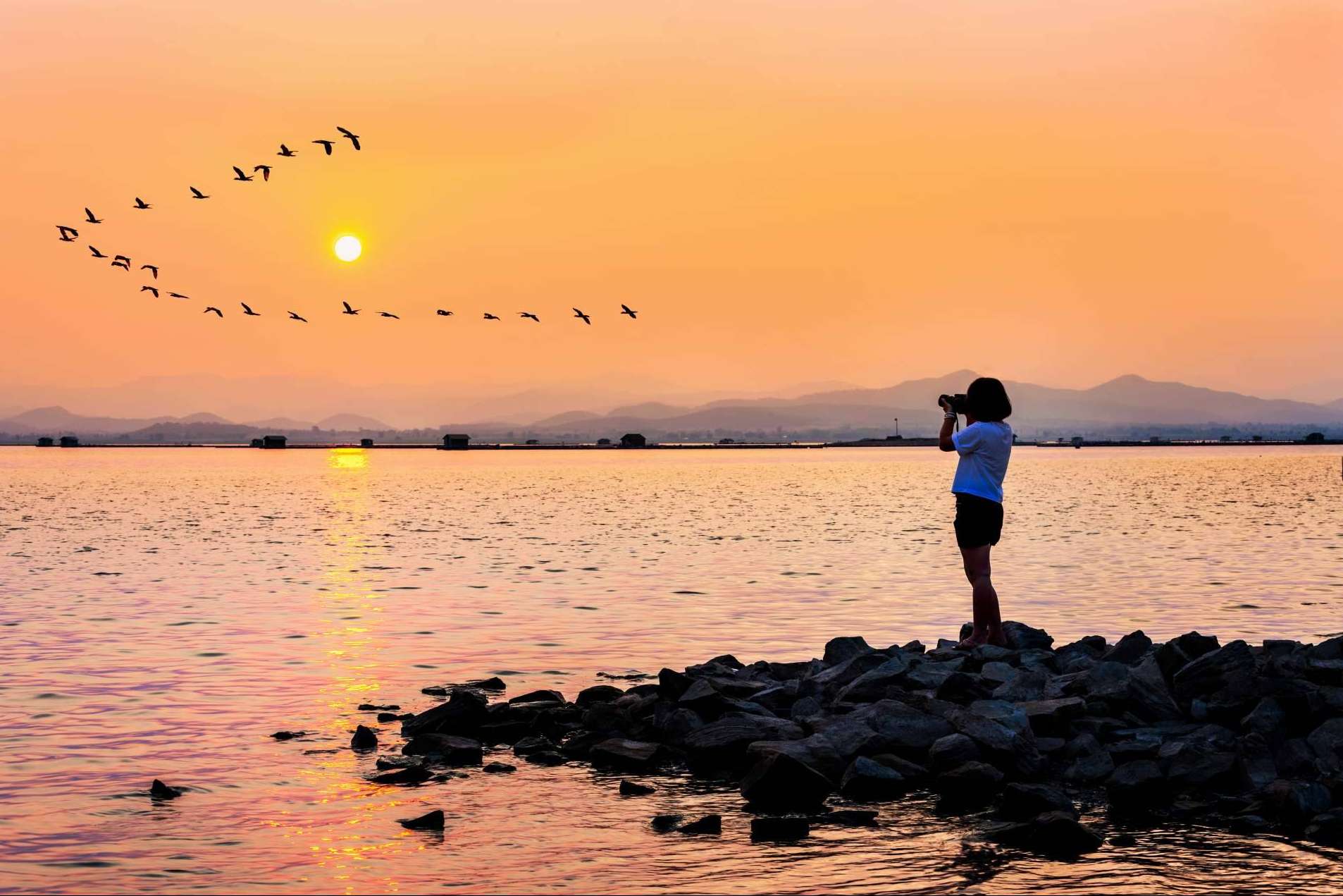 Albumar ofrece paseos en barca por la Albufera para descubrir el lugar