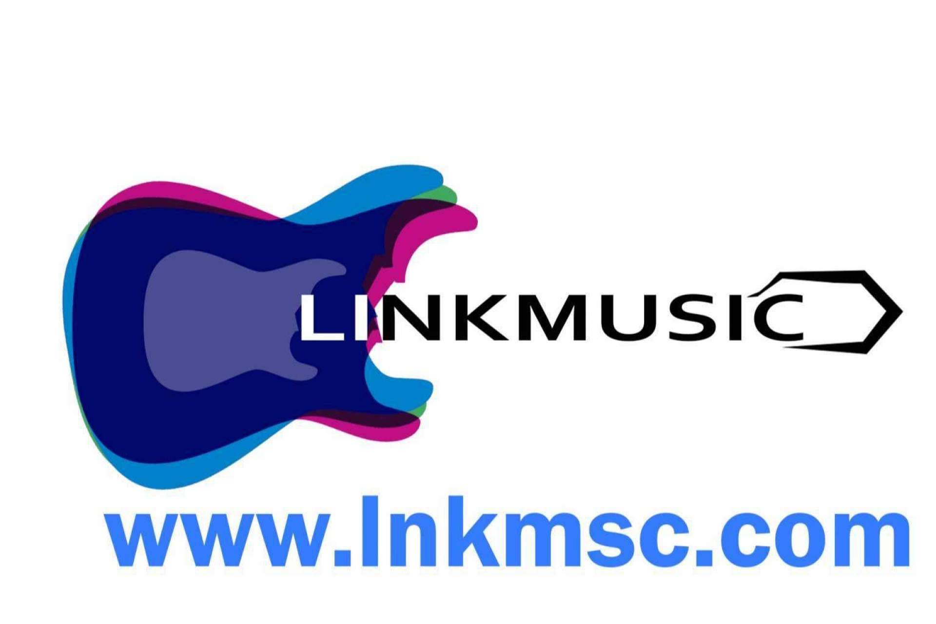 Ver a los músicos preferidos en salas de concierto, de la mano de LinkMusic