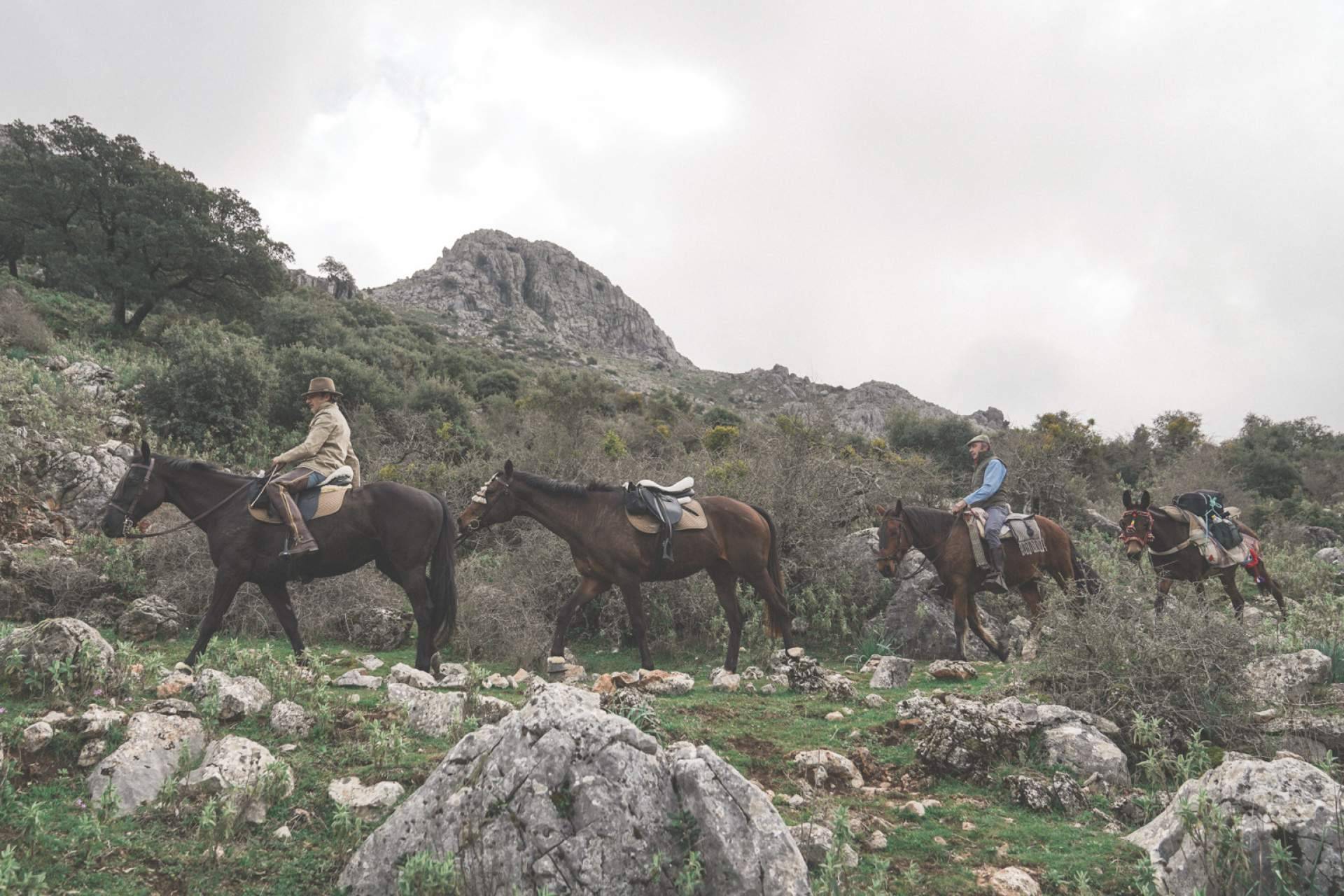 ¿Qué beneficios ofrece hacer paseos en caballo?, con Maktub Bohemian Rides
