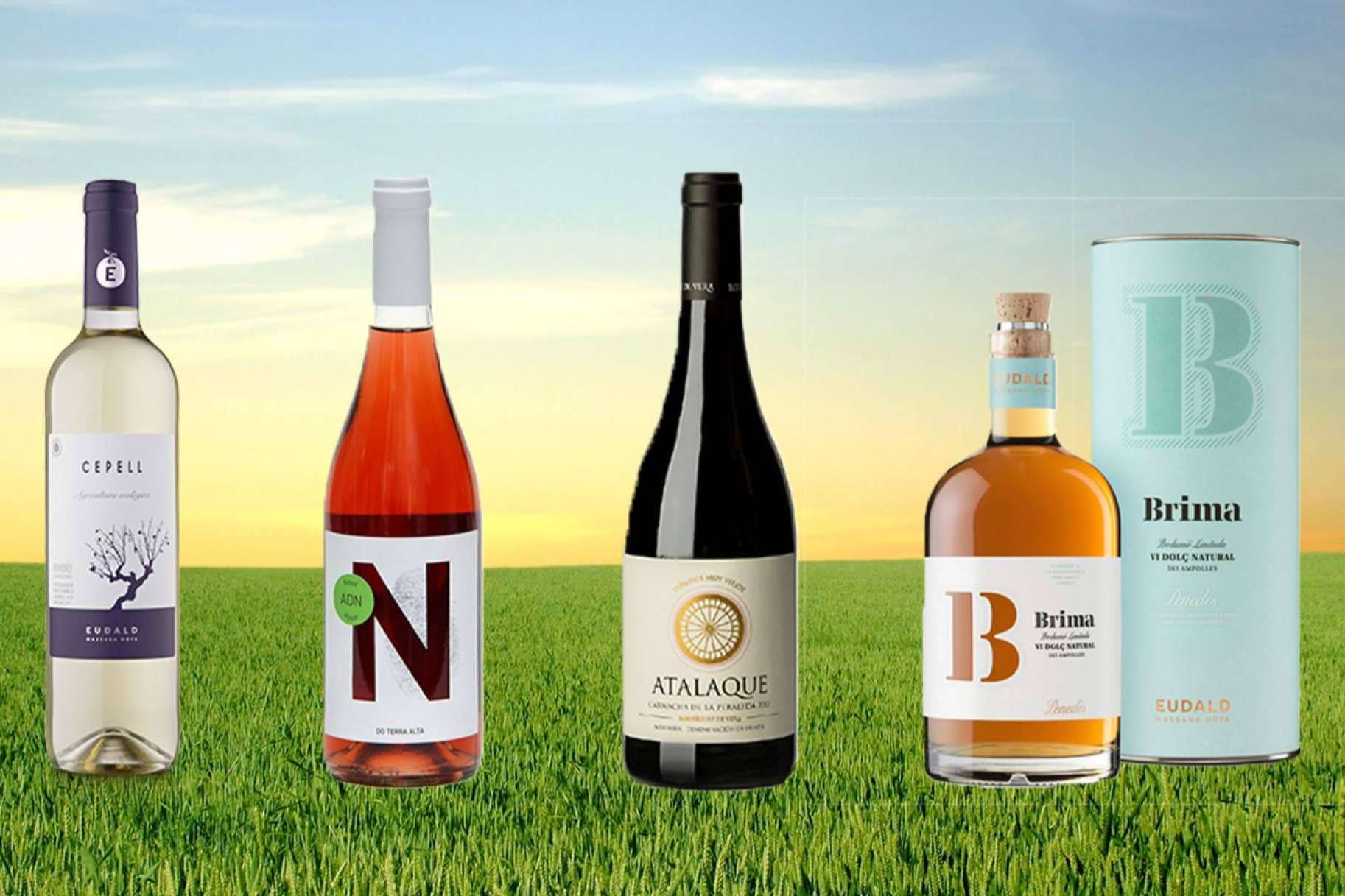Caldeu y su selección de vinos de calidad y proximidad