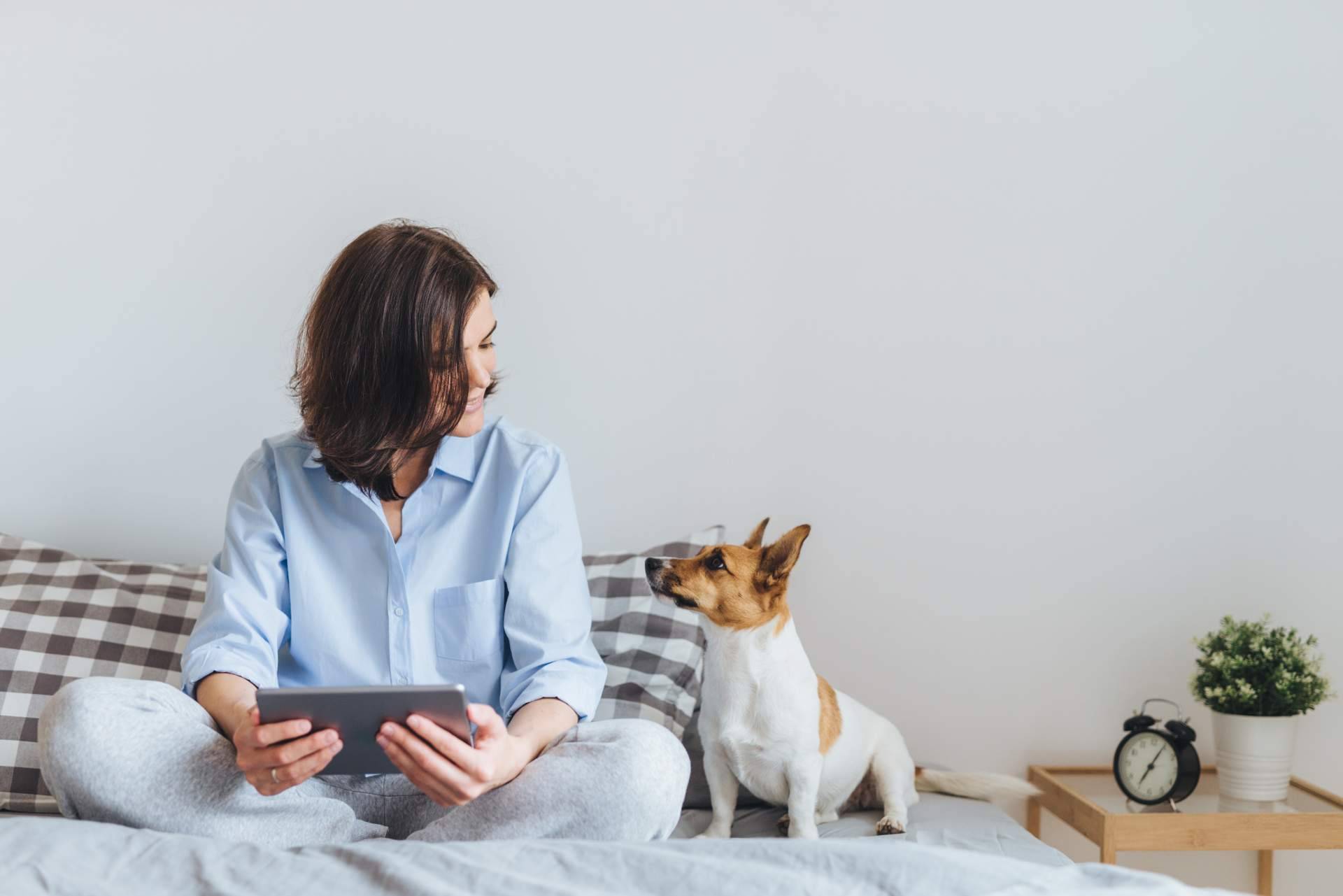 Aboganimal y su servicio de mediación animal en los procesos de familia