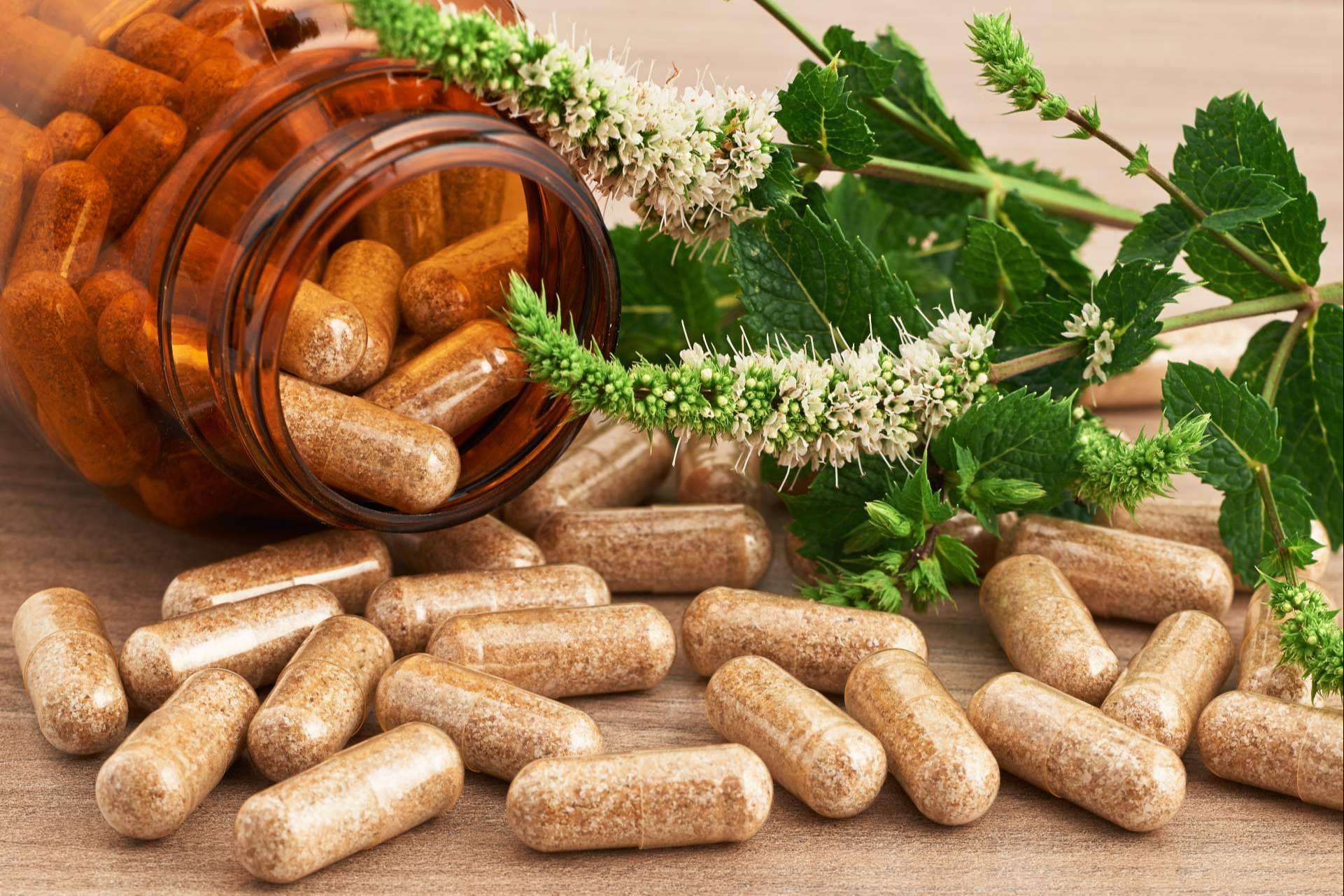 Obtener suplementos naturales para reforzar el sistema inmunológico a través de los productos de Biopharmacia