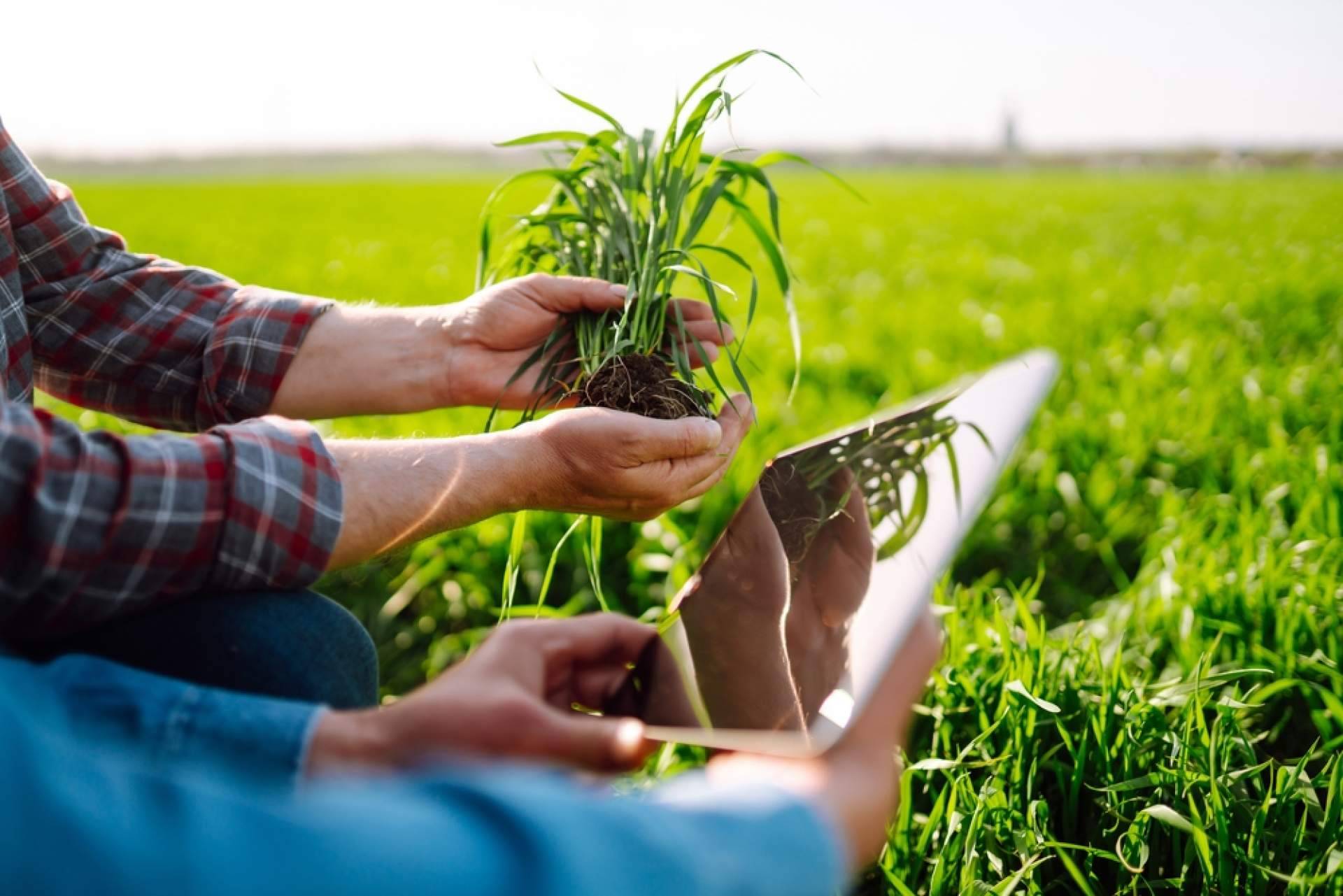 La plataforma para mantenerse al día con las fichas oficiales del Ministerio de Agricultura, Fitovademécum