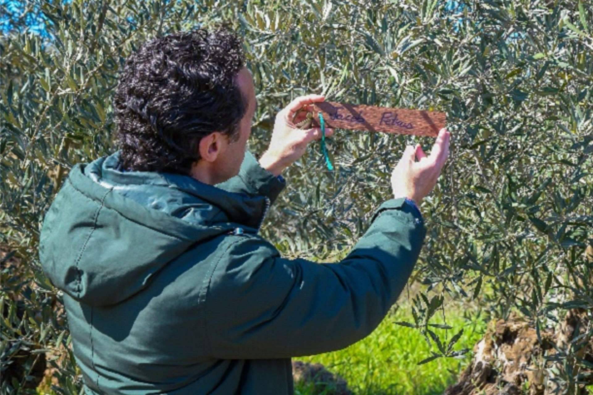 El programa 'Aquí la Tierra' y el presentador Jacob Petrus ya tienen su olivo centenario en Carboneros