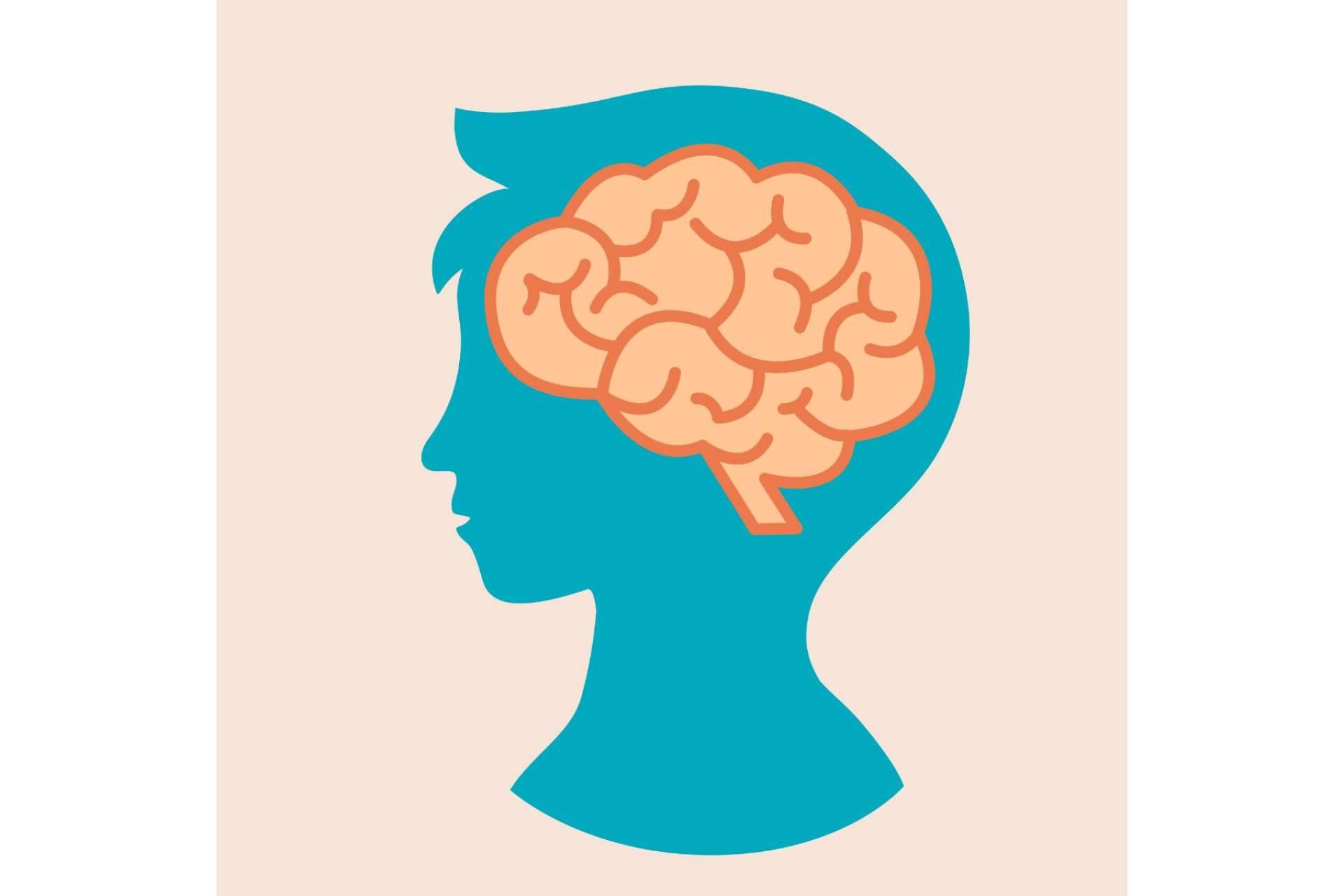 ICCE habla de los límites de la neurociencia en la educación en su libro 'Neuro-Educación Realista'