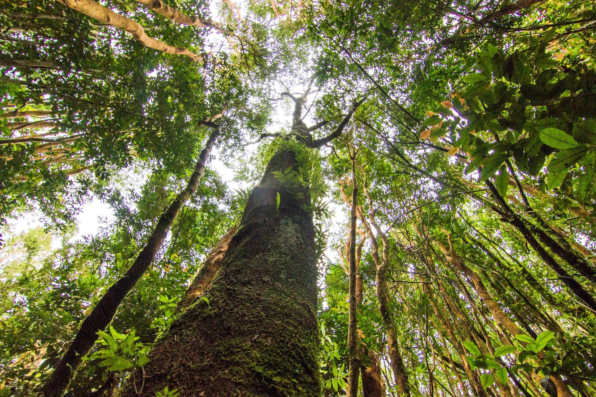El desarrollo la isla más grande al sur de Chile, Chiloé