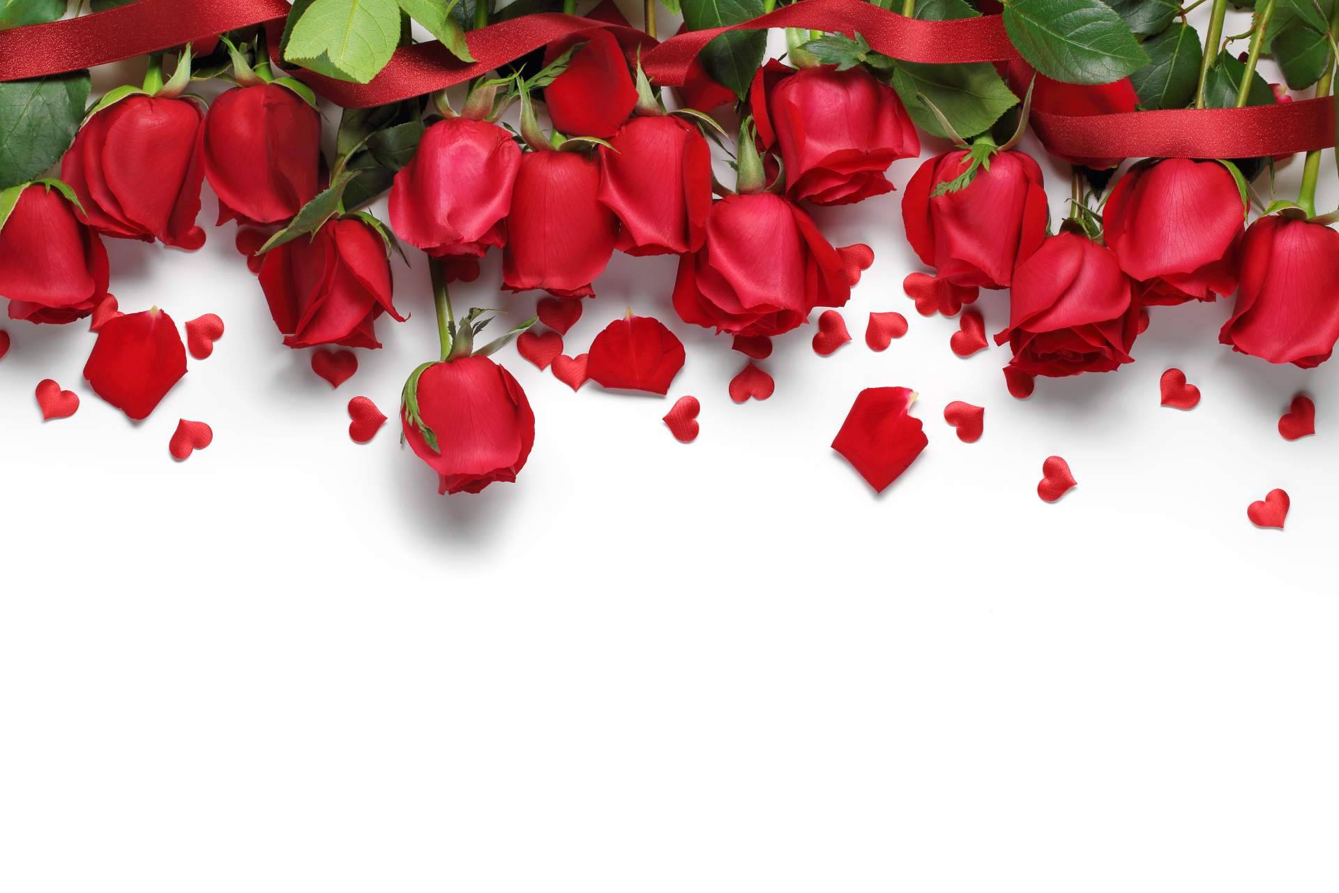 Rosistirem, la tienda para regalar rosas amarillas y rojas