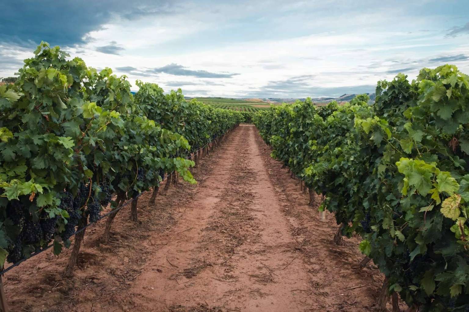 10 trámites importantes a saber si se tiene una finca o terreno