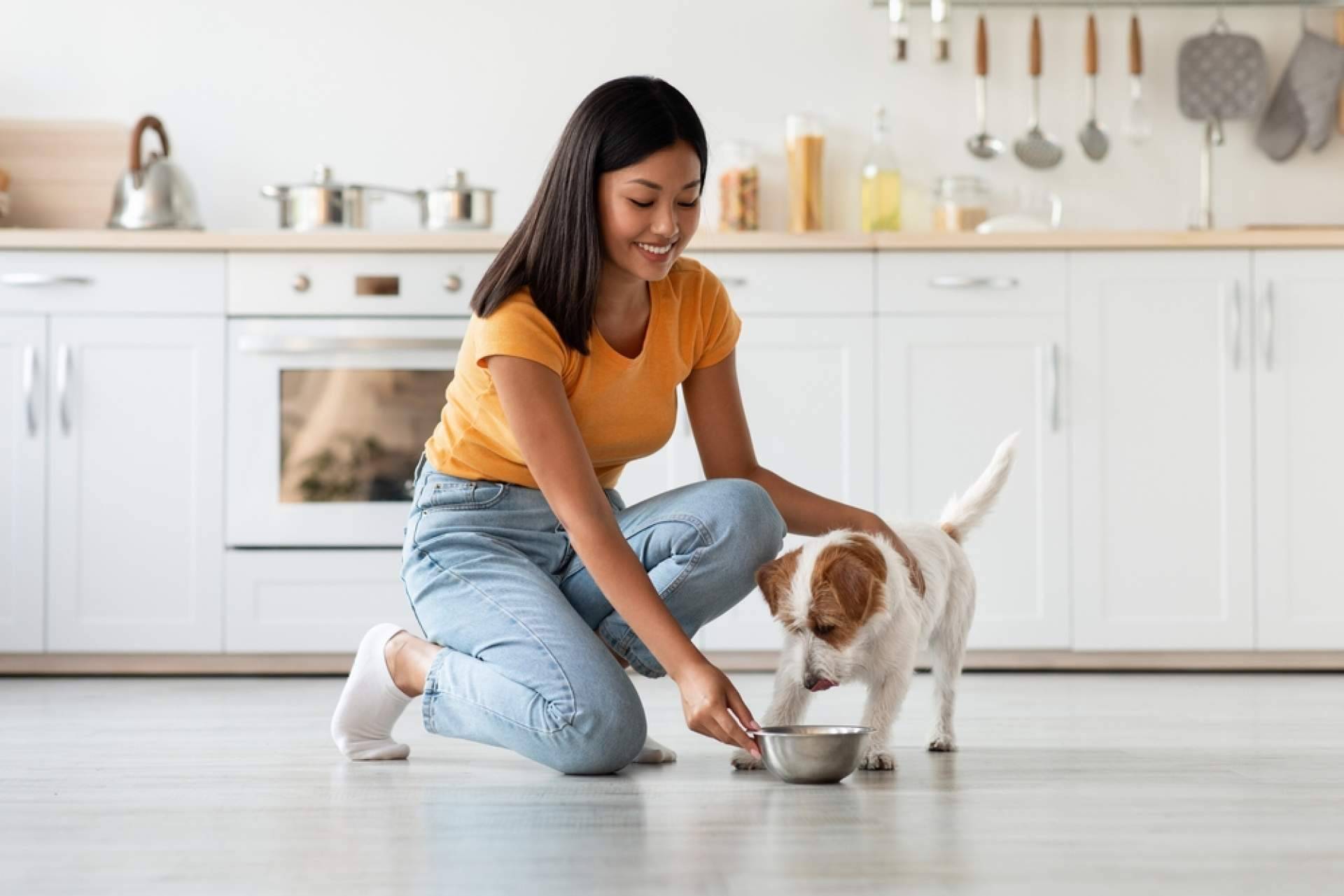 Nutrikoa, el pienso para perros 100 % natural