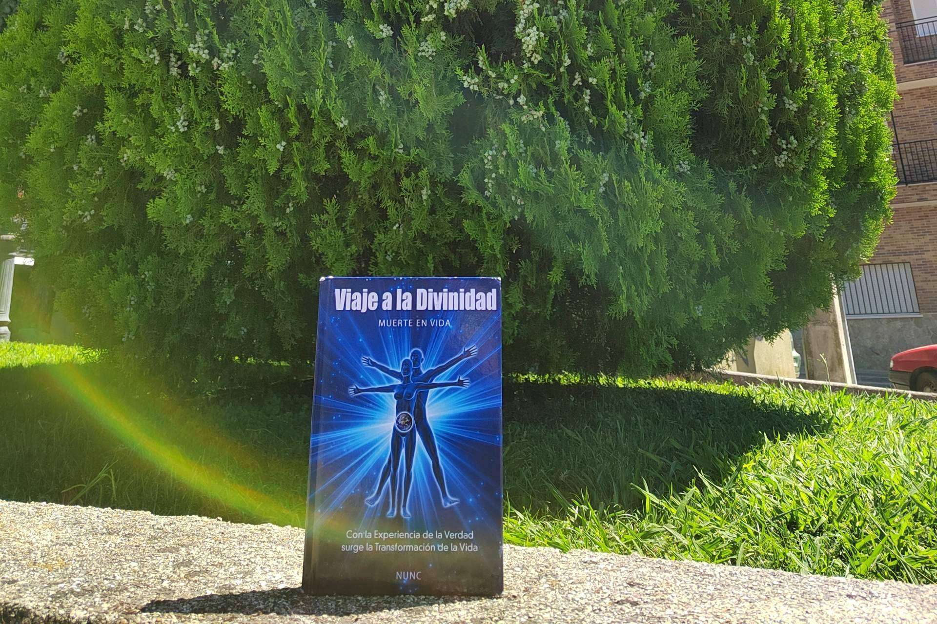 Viaje a la Divinidad, un libro especializado en el despertar espiritual