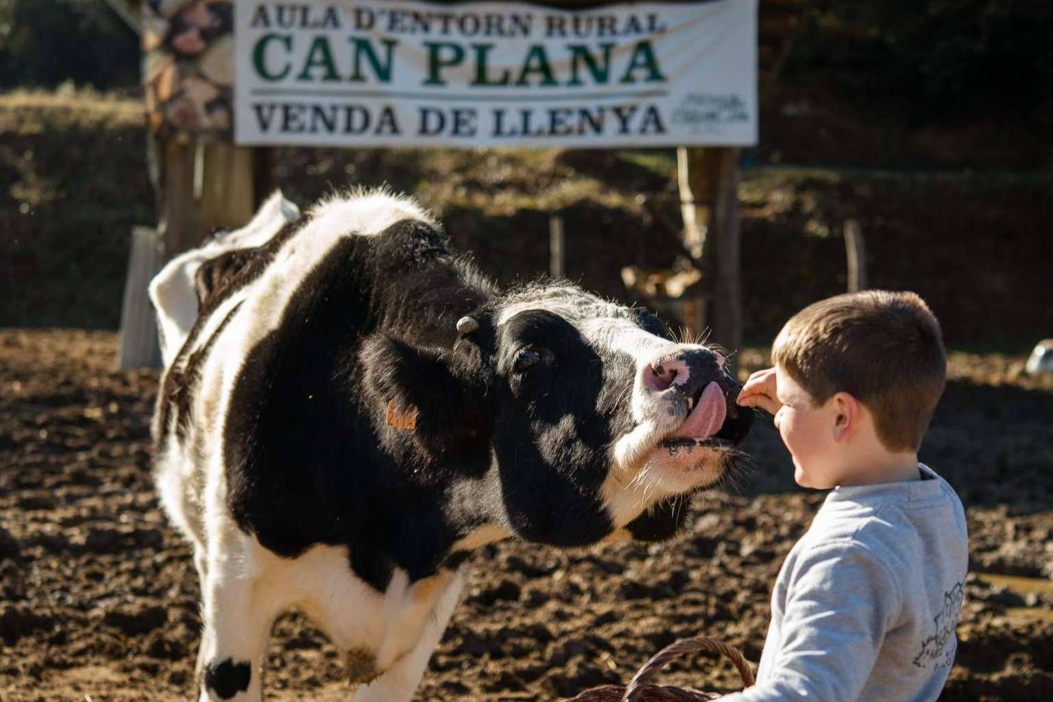 Las familias y escuelas que quieren visitar una granja cerca de Barcelona encuentran en Can Plana una opción ideal