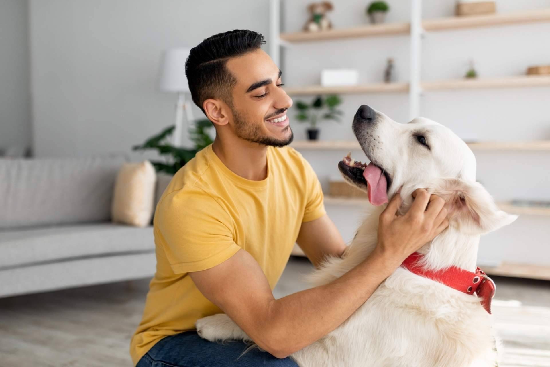 De empleado a emprendedor. El viaje de transformación con El Perro Feliz