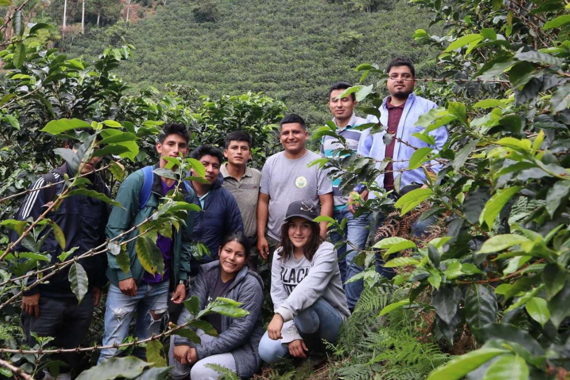 De la finca a la taza, la revolución del café ético de SIBARISTA