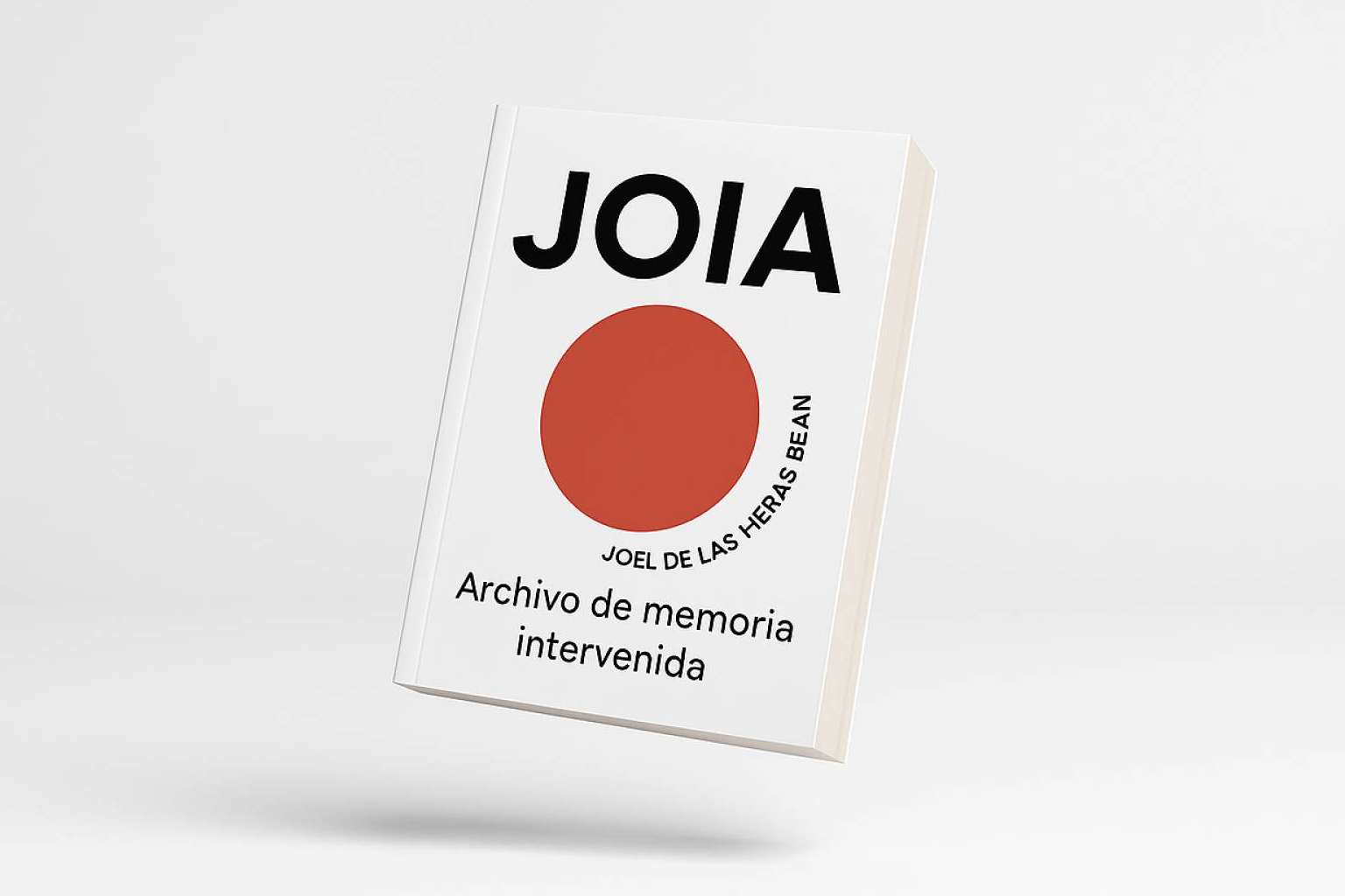 JOIA. El complemento de Joel De Las Heras, Inteligencia Artificial para nombrar lo no visible