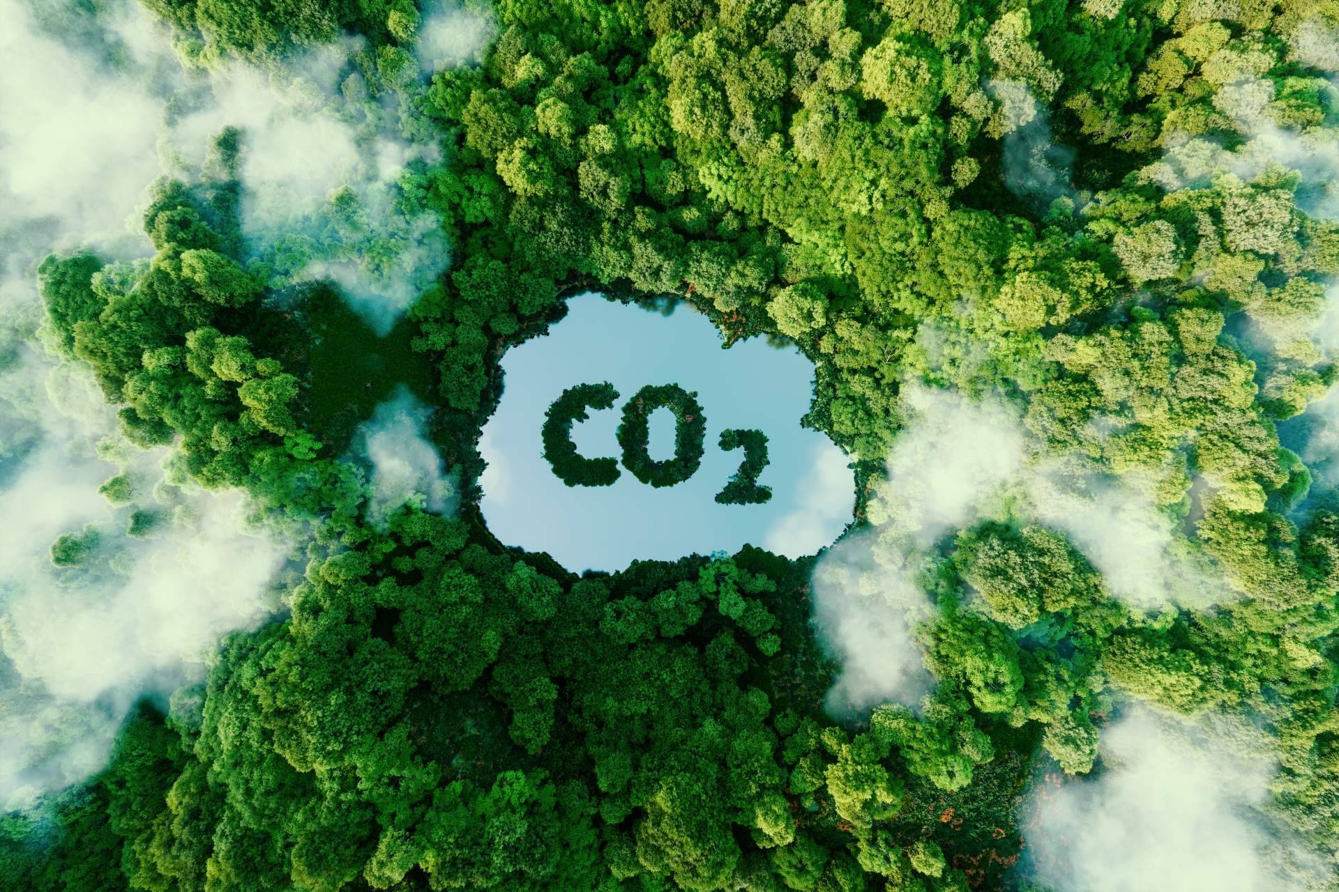 CAVO ENERGÍAS subraya la obligatoriedad del cálculo de huella de carbono para grandes empresas en 2025