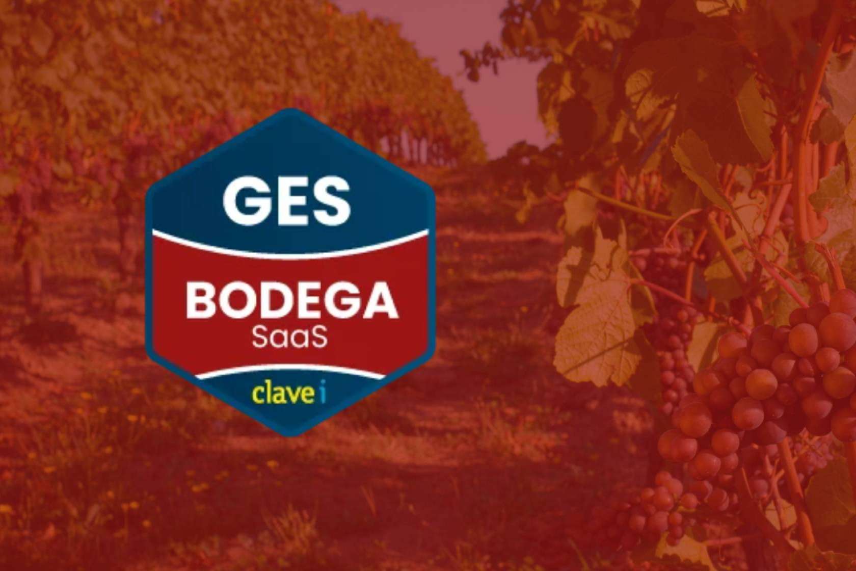 Clavei presenta su ERP especializado para bodegas con integración SILICIE 2.0 y convoca a un webinar gratuito para el sector vitivinícola
