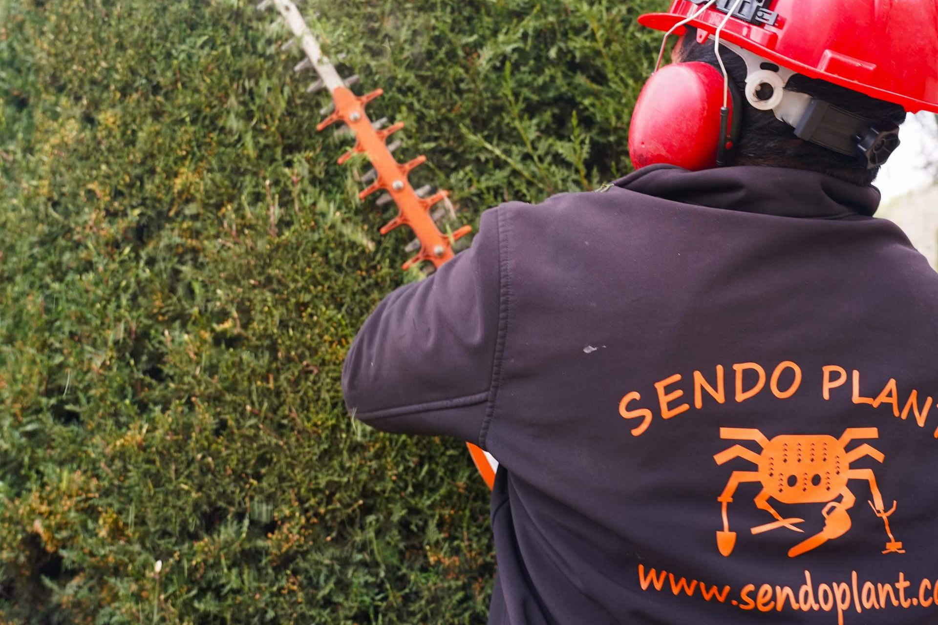 Empresa de Jardinería en Barcelona; creando espacios verdes sostenibles y duraderos
