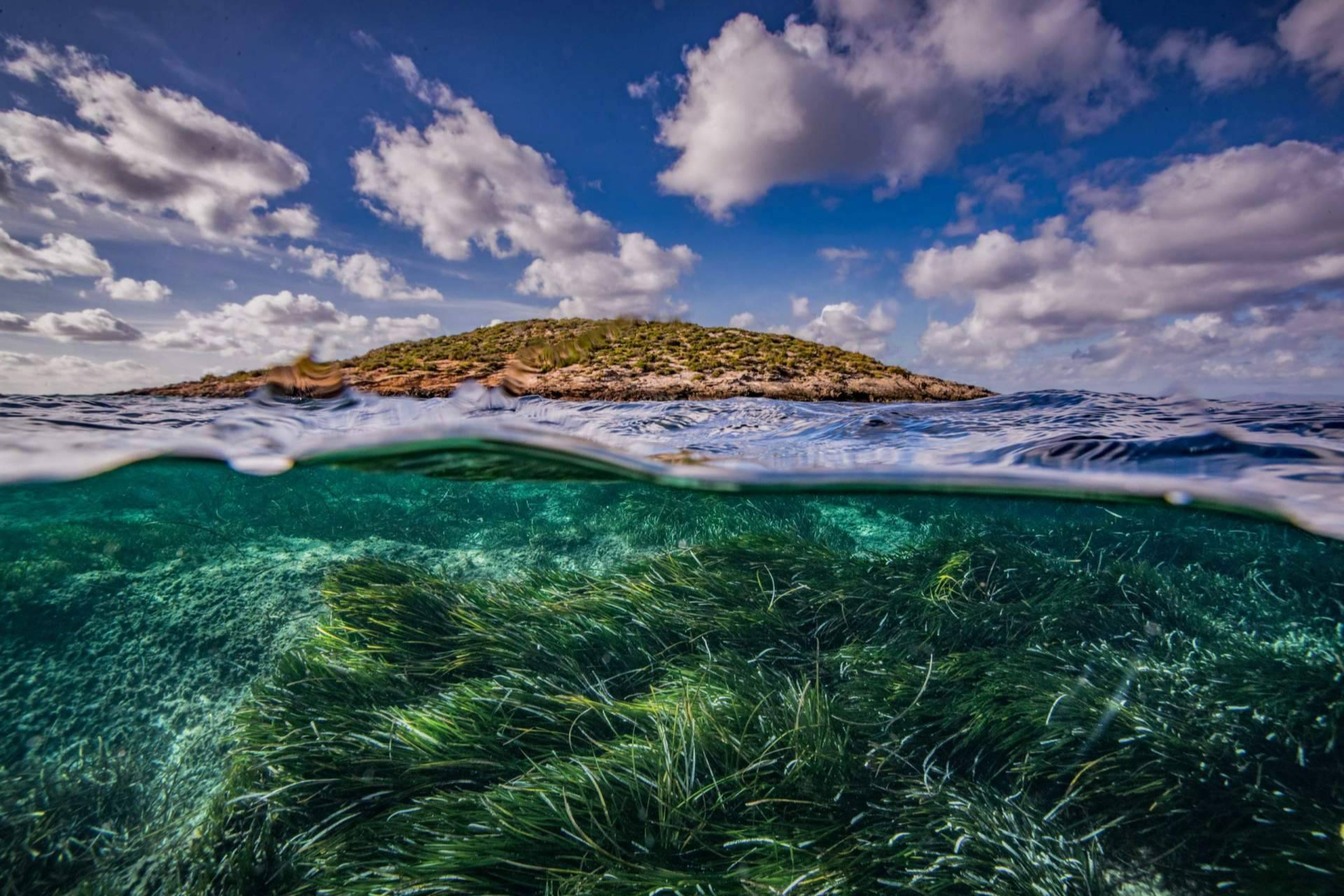 El proyecto Be Blue consolida su liderazgo en la protección del Mediterráneo