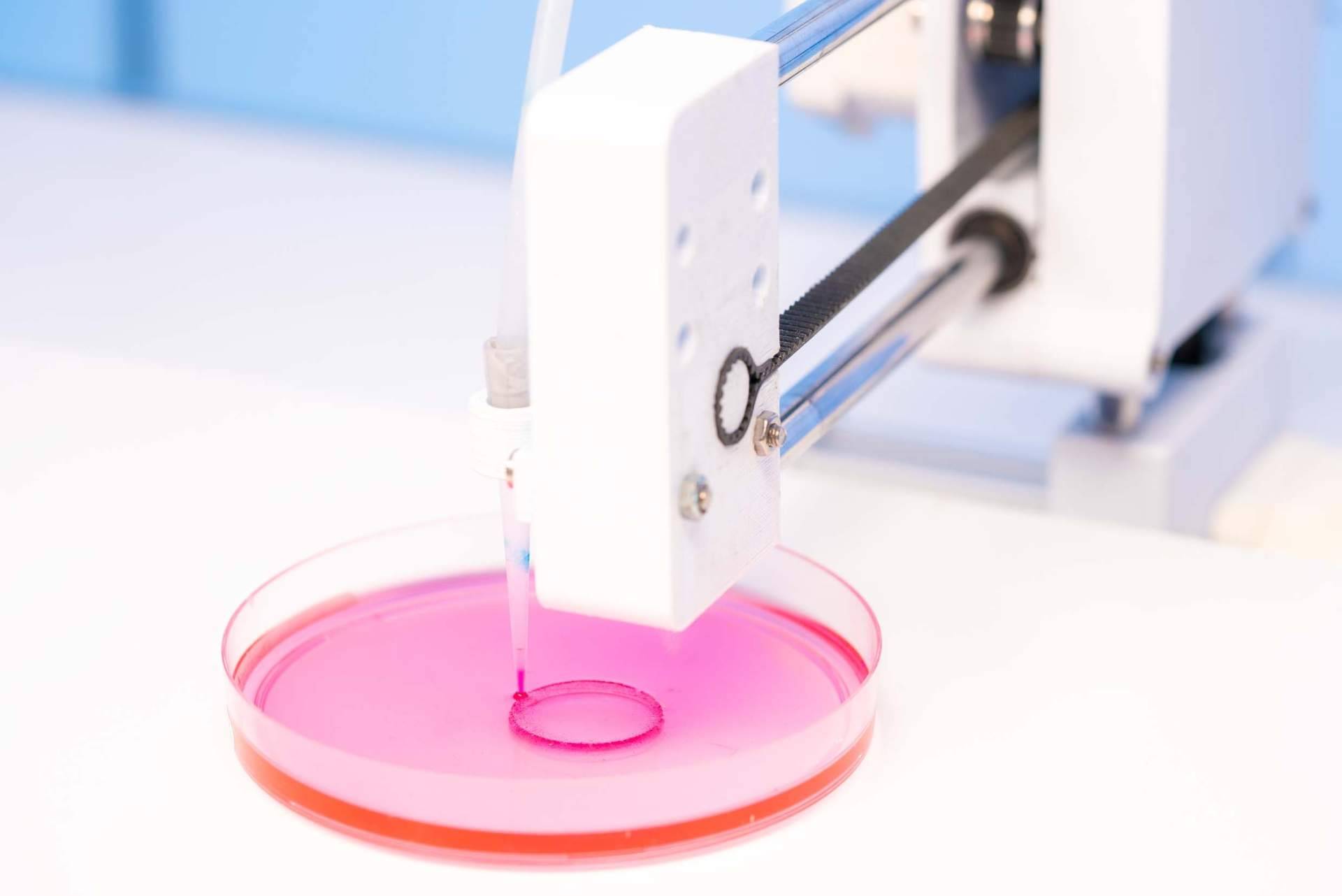 3D Biotech desarrolla soluciones de bioimpresión 3D para aplicaciones médicas y regeneración de tejidos