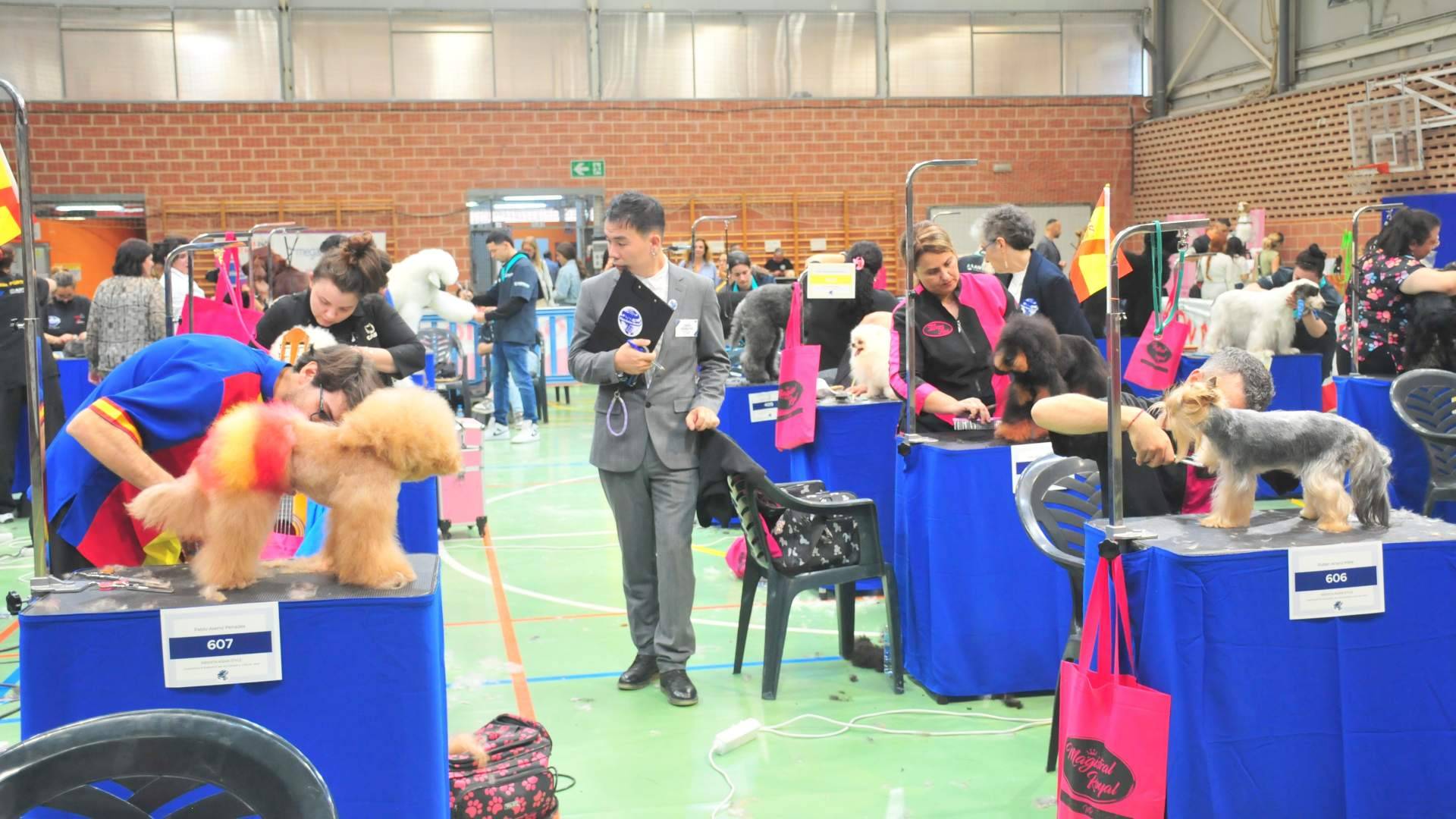 Murcia acoge el Campeonato Mundial de Peluquería Canina; profesionales de más de 30 países se disputarán